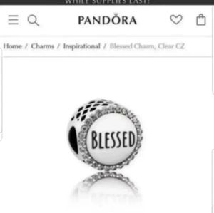 Pandora Blessed charm
